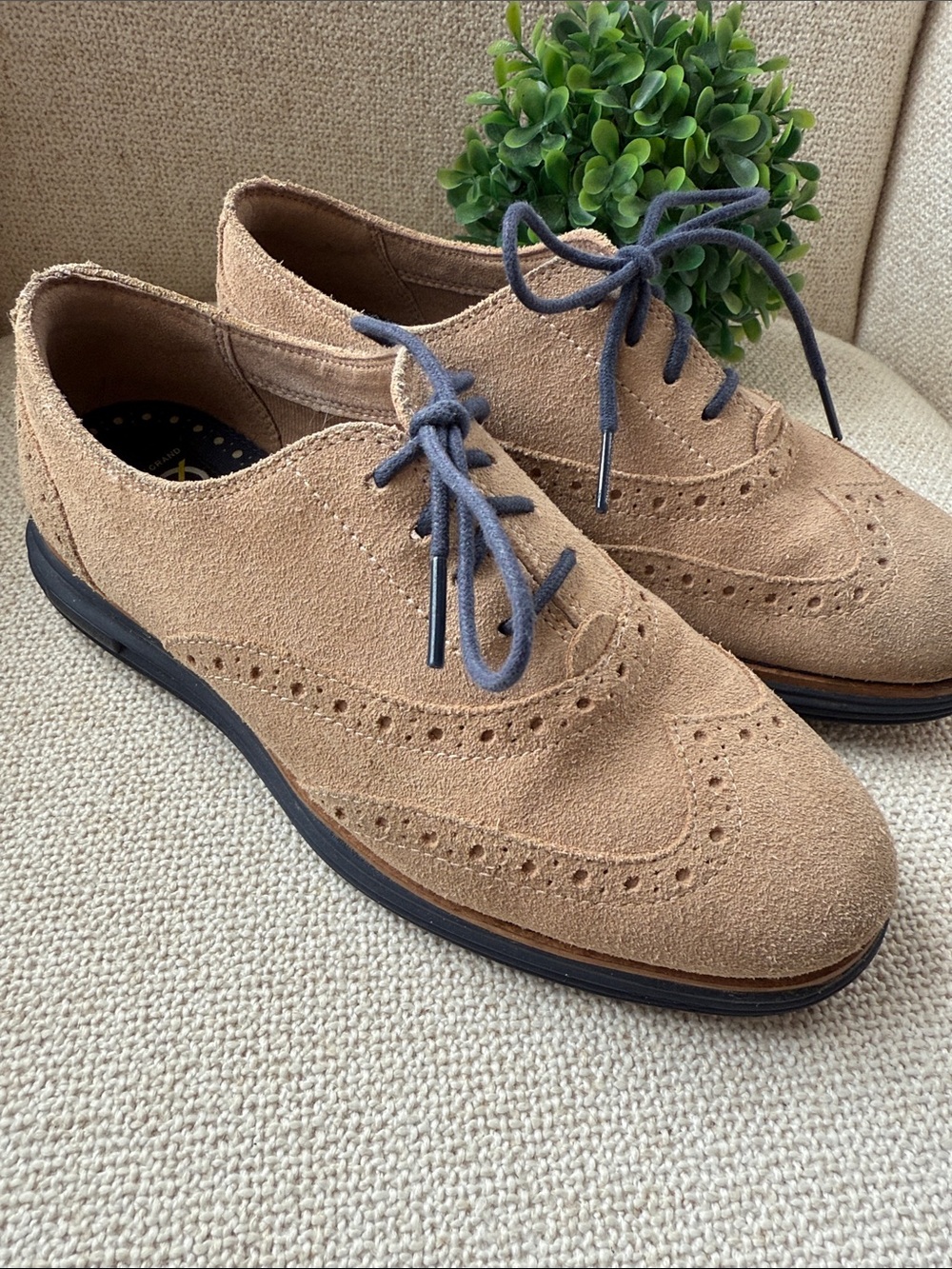 Cole Haan Suede Wingtip original grand Oxfords in Tan big boys size 6
